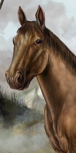 po_horse1_