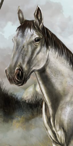 po_horse2_