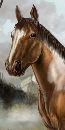 po_horse3_