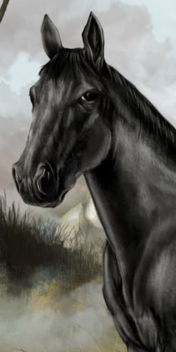 po_horse4_